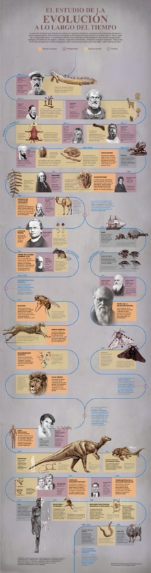 Evolución biológica - Wikipedia, la enciclopedia libre