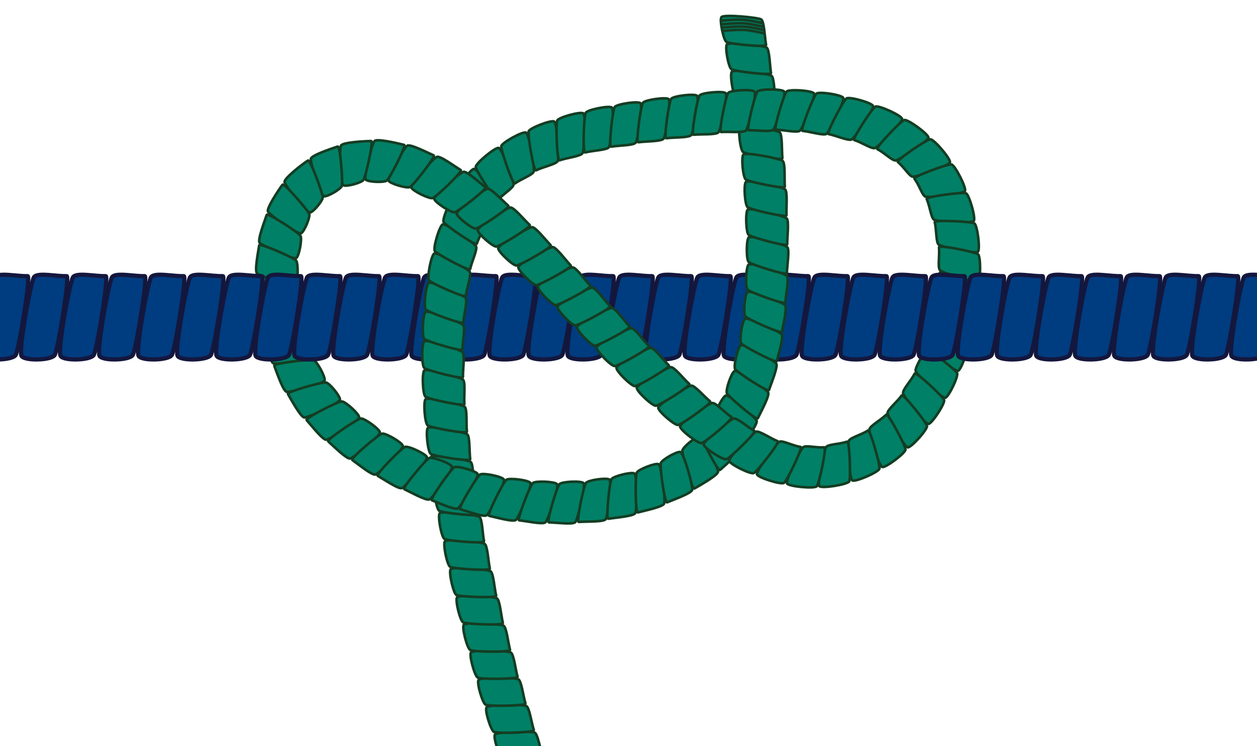 File:Inkscape Constrictor Knot.svg - Wikipedia
