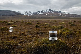 Incubation chambers in Sassendalen, Svalbard, used to assess Cyanobacteria's capability to fix nitrogen gas by enzyme nitrogenase, by Kertu Liis Krigul