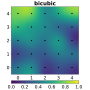 Vignette pour Interpolation bicubique