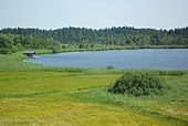 Isny - Großer Ursee im Taufmoos.JPG