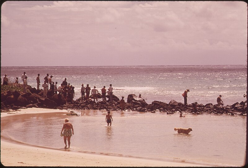 File:JAPANESE TOURISTS STAND ON ROCKS TO WATCH THE HAWAIIAN FISHERMEN - NARA - 553951.jpg