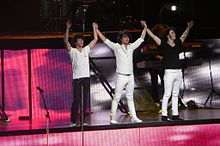 I Jonas Brothers in concerto nel 2008