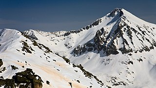 Kamenitsa Pirin IMG 0874.jpg