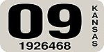 Kansas License Plate Sticker 2009.jpg