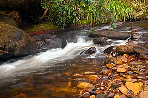 Rapids on the Kedumba River