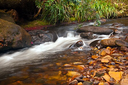 Rapids on the Kedumba River KedumbaRapids.jpg