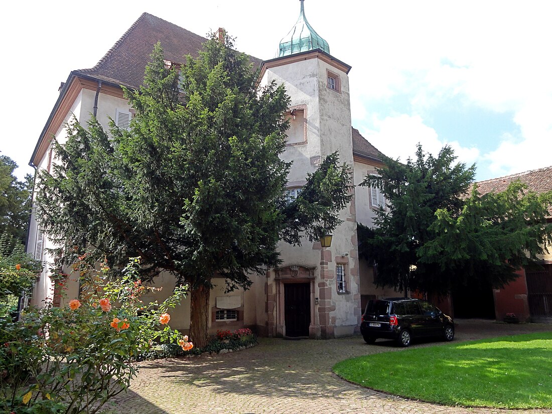 Château des Ifs (Haut-Rhin)