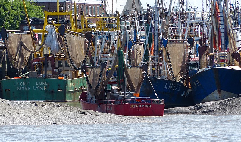 File:King's Lynn fishing fleet - geograph.org.uk - 3600311.jpg