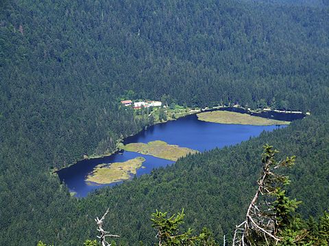 Kleiner Arbersee with the three floating islands Kleiner Arbersee - direkter Blick vom Grossen Arber.JPG