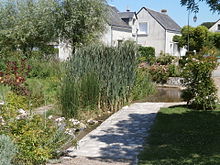 Fotografia a colori di un vecchio abbeveratoio trasformato in un giardino acquatico.