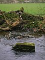 Lainshaw Footbridge.JPG