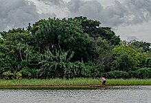 Fayl:Lake_Tana,_Ethiopia_(51643746226).jpg