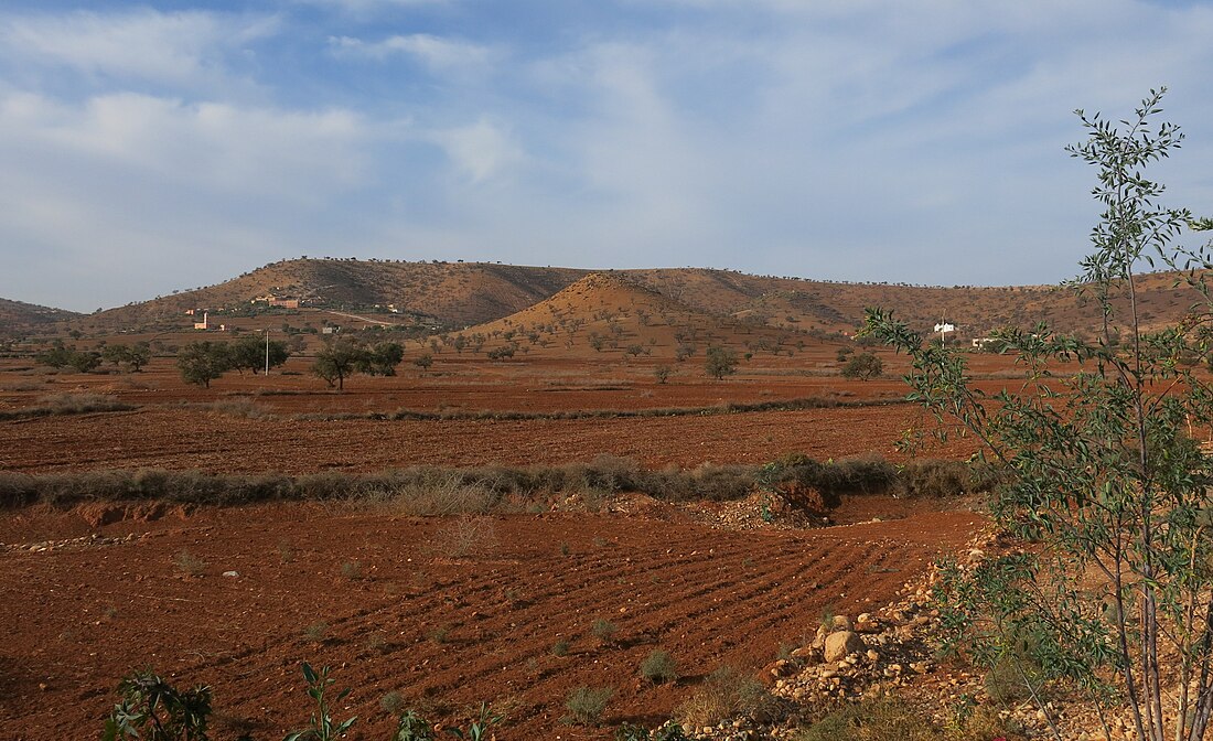 Souss-Massa-Draâ