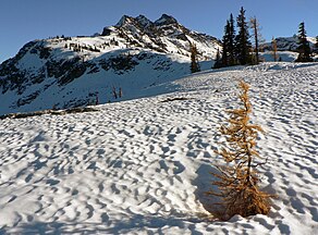 North Cascades National Park