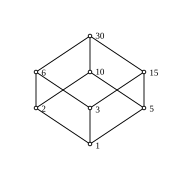 Lattice T 30. sv