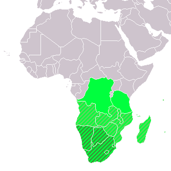 Wiki Africa placing SA on the map