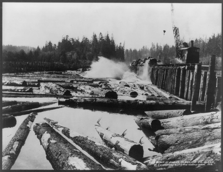 File:Log dump at Pysht, Clallam Co., Washington LCCN2012647885.tif