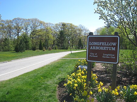 Longfellow Arboretum (Portland, ME) IMG 8146