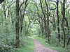 A trail through Longines Malinowski Park