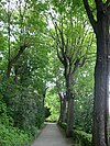 Lyon 5 - Parc des Hauteurs - Jardin du Rosaire - Um beco na primavera de 2008.JPG