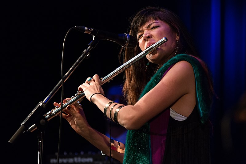 File:Maïa Barouh Waves Vienna 2015 06.jpg