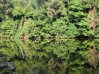 <span class="mw-page-title-main">Little Danube</span> River in Slovakia