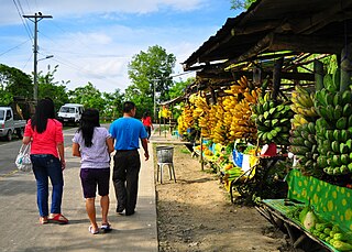 <span class="mw-page-title-main">Balamban</span> Municipality in Cebu, Philippines