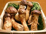 Miniatura per Matsutake