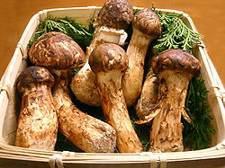 Matsutake.jpg