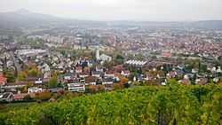 Skyline of Metzingen