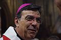* Nomination Mgr Michel Aupetit at the Vigil for Life at the Cathedral Notre-Dame-de-Paris --Olivier LPB 09:51, 15 June 2015 (UTC) * Decline Not sharp. Too noisy. ISO 6400 at bad light not a good choice for QIC. --Cccefalon 10:03, 15 June 2015 (UTC)