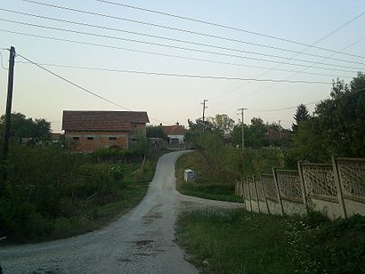 Kako doći do Milatovac pomoću gradskog prevoza - O mestu