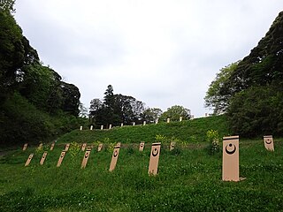 <span class="mw-page-title-main">Moto Sakura Castle</span> Castle ruins in Inba District, Japan