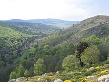 La vallée de la Biourière et le Mountasset en arrière-plan