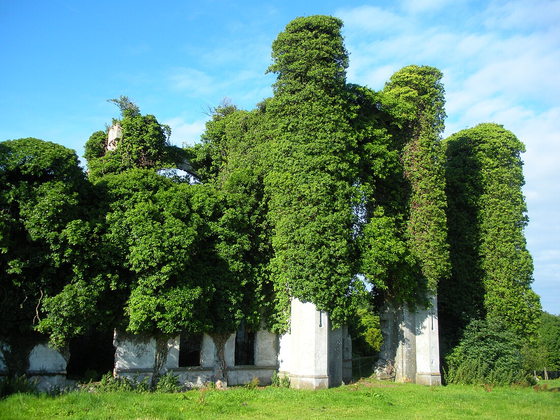 Moydrum Castle