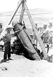 William Mulloy and a moai being restored at Ahu Akivi Mulloy 1955.jpg