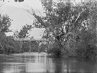 Ponte sul fiume Murray a Pinjarra (ca. 1900-1910)