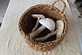 Mushrooms in basket.jpg