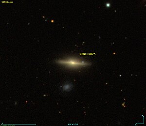 NGC 2825 SDSS.jpg