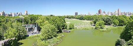 NYC Turtlepond