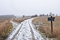 National Blue Trail between Törökmező and Kóspallag