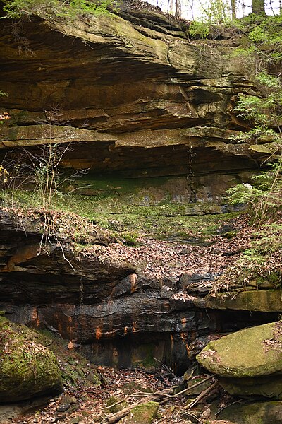 File:Natural Bridge Park (Alabama), nature walk.jpg