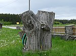 Naturdenkmal EBE 108 Oberpframmern - „Eiche vor dem Anwesen Liebhart“, Aich 01 (Harald Süpfle).jpg