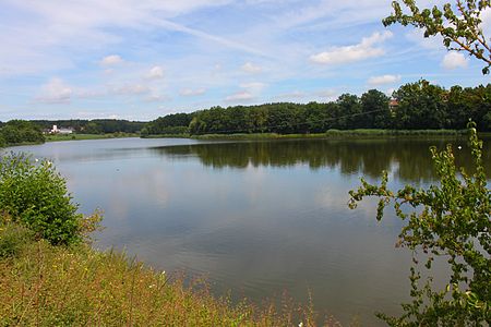 Neuenseer Weiher