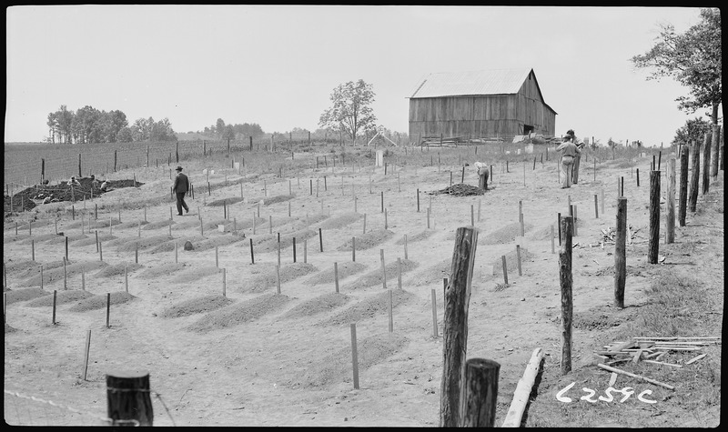 File:New prospect and Holston Cemetery re-location - NARA - 280675.tif