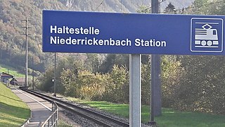 <span class="mw-page-title-main">Niederrickenbach Station railway station</span>