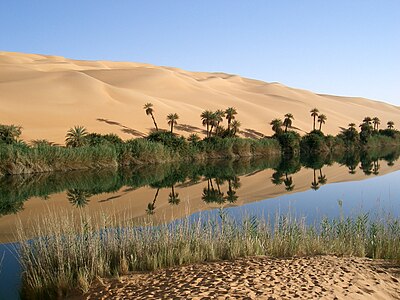 Libya'nın Fizan bölgesindeki Ubari kasabası yakınlarında bir vaha. Vahalar, çöllerin içerisinde yer alan ve çöl koşullarından yalıtılmış, genellikle su ve bitki içeren bölgelerdir.(Üreten:Sfivat)