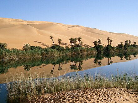 Oasis in the Libyan part of the Sahara