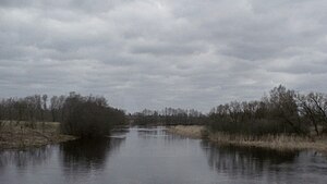 В д. Пролетарск Городокского района. Апрель 2010 г.